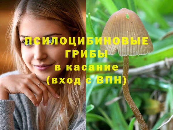 прущая мука Нефтекумск