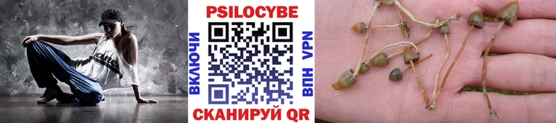 Псилоцибиновые грибы прущие грибы  blacksprut ONION  Ветлуга  наркотики 